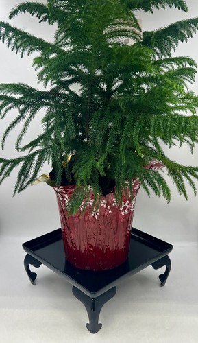 Vintage 1960er 5,5" große japanische schwarze Vase Pflanzenständer IKEBANA Tisch Bonsai