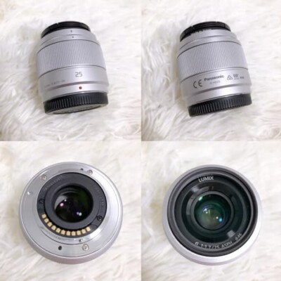 Panasonic Mirrorless interchangeable-lens camera Lumix GF9W-D