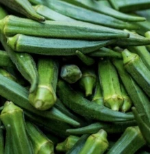 200+ Emerald Okra Seeds NON-GMO
