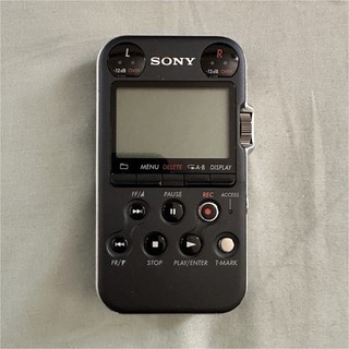 Sony PCM M10 Portable Digital Recorder Built In Mic 24bit/96kHz microSD Slot