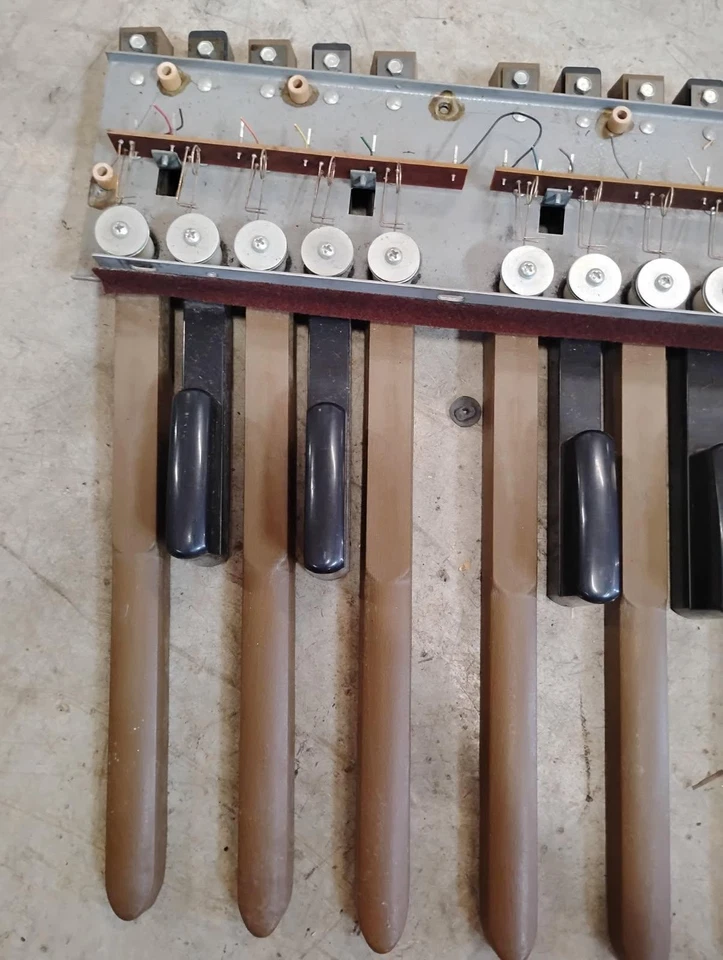 老式 Thomas Organ 13 Note 贝斯踏板组件优惠! — 第 2/4 张图片