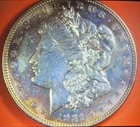 Beautiful 1921-D toned Morgan. Lots of natural toning. Beautiful coin