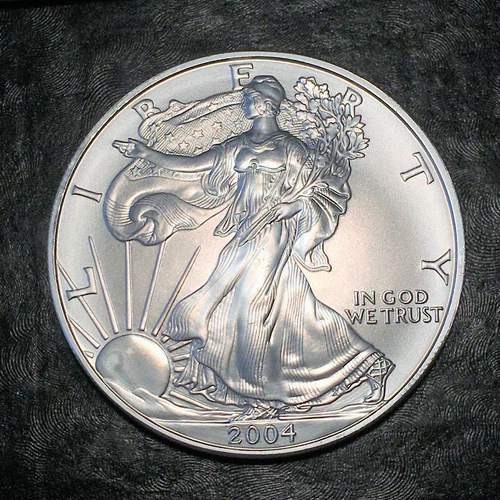 2004 Uncirculated American Silver Eagle US Mint Issue 1oz Pure Silver #J396