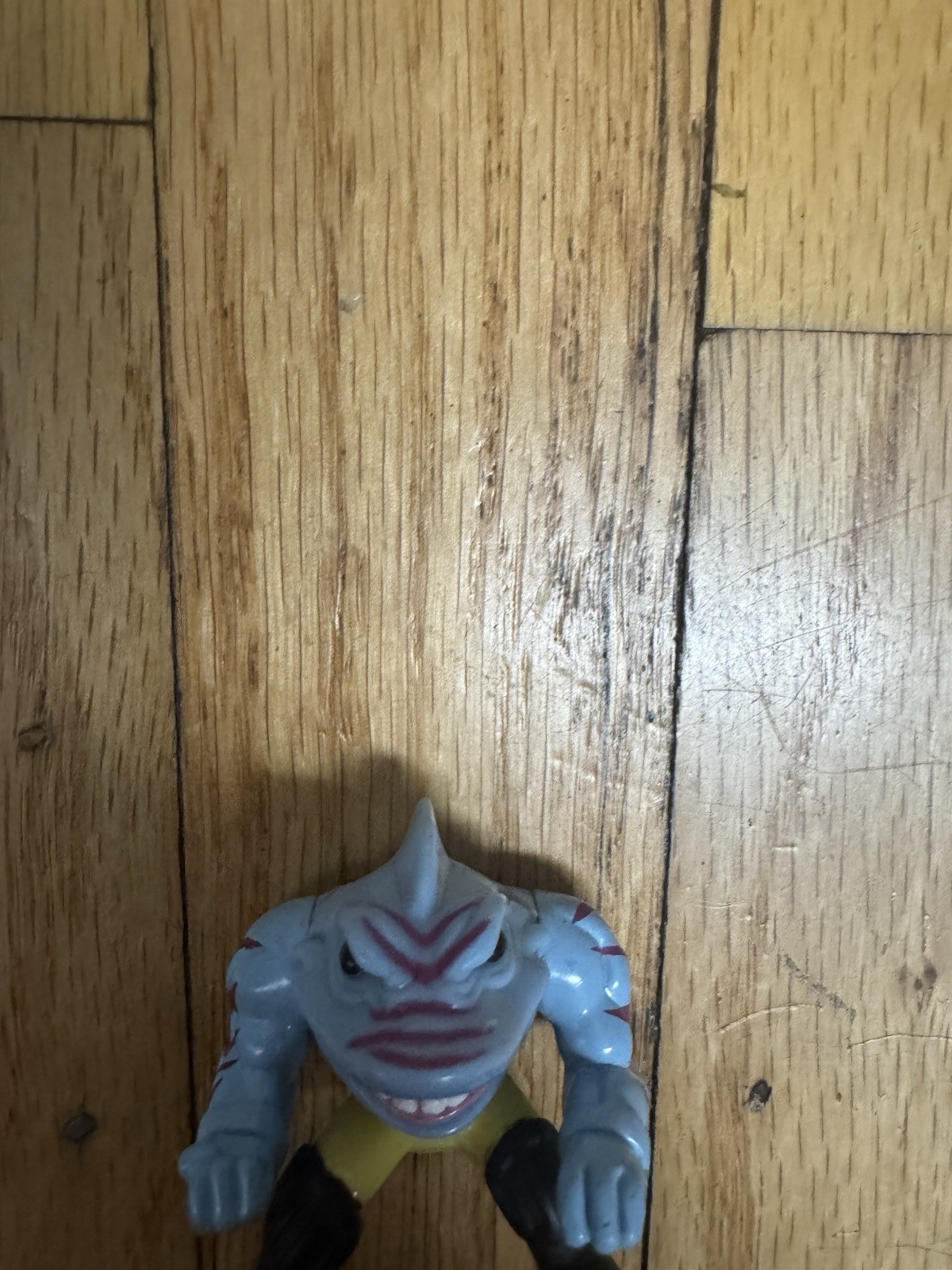Picture 5 of 8