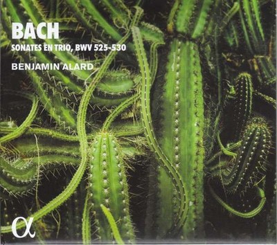 Johann Sebastian Bach (1685-1750) - Triosonaten BWV 525-530 -   - (CD / T)