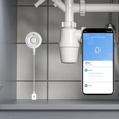 Smart Lecksensor WiFi kompatibel mit 100dB Alarm und Echtzeit App Alarmen