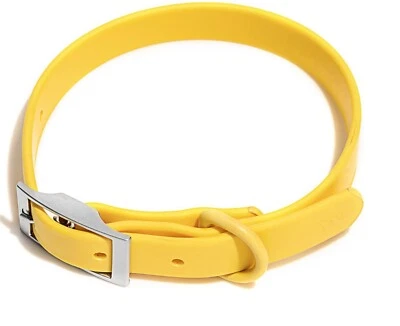 DO&G WILD ONE ~ Small Dog Collar ~ 8-12 in ~ Butter Yellow