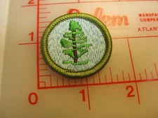 Type L since 1910 back FORESTRY merit badge sash patch (g8)