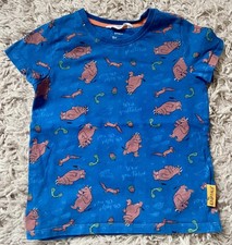 M&S Boys Blue ‘The Gruffalo’ Tshirt. Age 3-4 Years. Good Clean Condition
