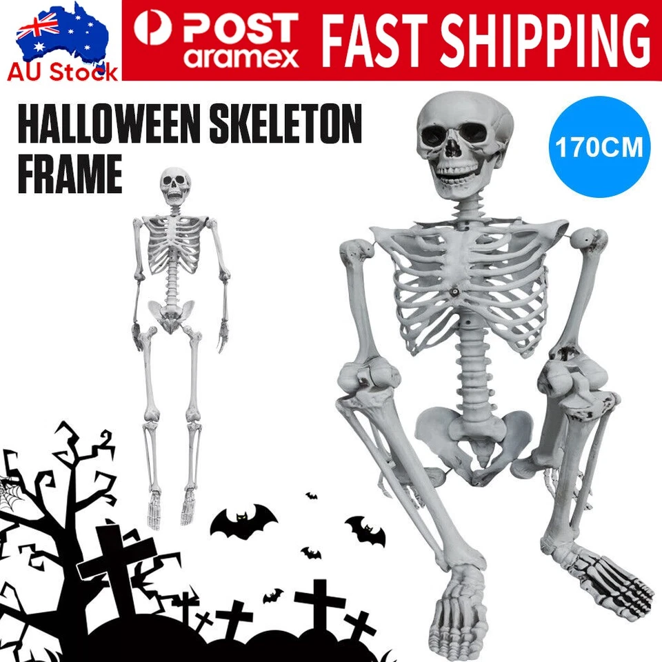 170cm Halloween Poseable Skeleton Full Life Size Human Skeleton Decoration Prop - image 2 of 4