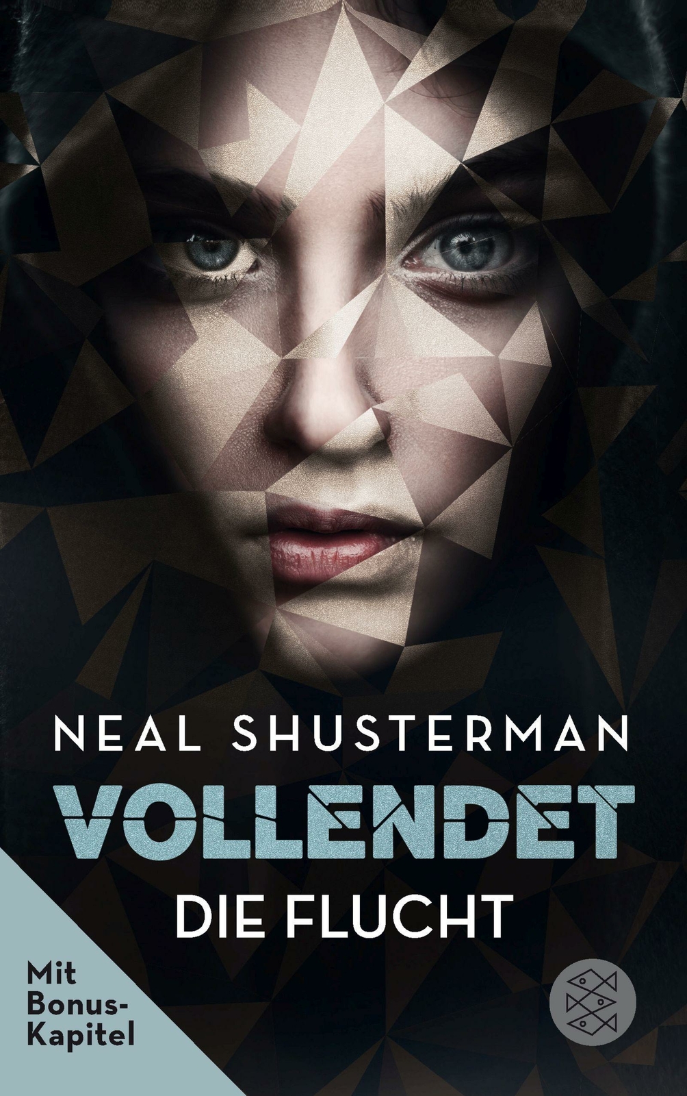 Thumbnail - Vollendet - Die Flucht (band 1) | Buch | 9783733504434