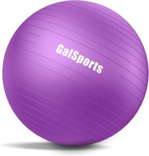 Anti-Burst Slip-Resistant Stability Ball - 65cm Swiss Exercise Ball with Pump