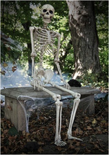 Poseable Skeleton Prop Life Size Halloween Human Skeleton Decoration Garden Prop