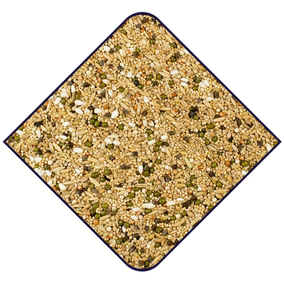 Witte Molen Keimsamen für Sittiche 3 kg Keimfutter für Wellensittiche Keimsaat