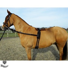 Training/Breaking Set by Rhinegold  Roller, Side Reins & Crupper  3 Sizes