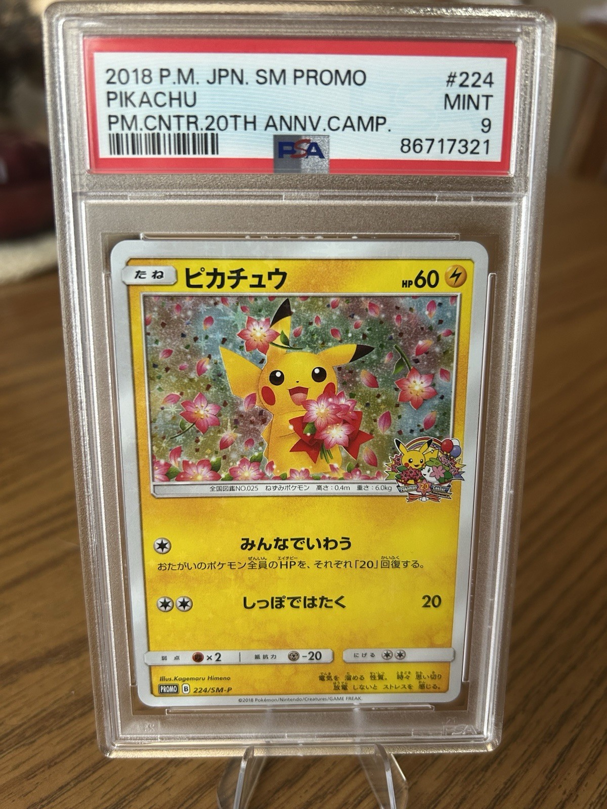 PSA 9 Pikachu 20th Anniversary Camp 224/SM-P Promo Pokemon Card Japanese
