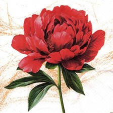  2 Two Paper Lunch Napkins for Decoupage/Mixed Media - Scarlet Flower study