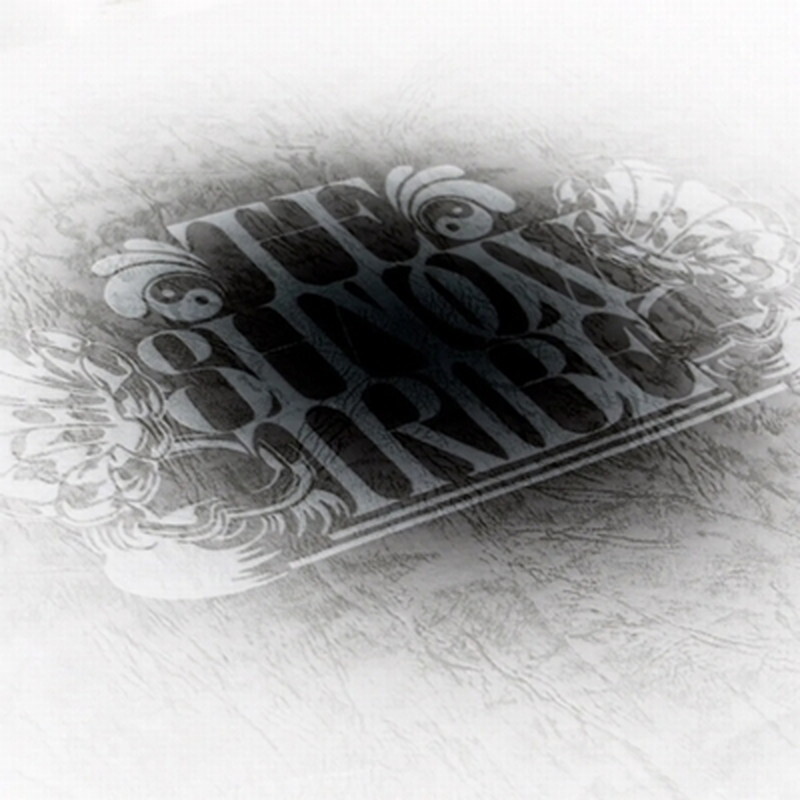 THE SHADOW TRIBE/Новый альбом Core Of Road TSTK0002