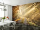 Wall mural photo wallpaper Autumn forest road | glue not included 315x232cm