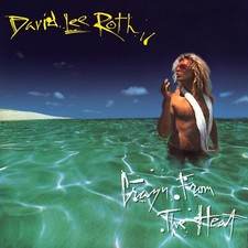 DAVID LEE ROTH Crazy from the Heat BANNER HUGE 4X4 Ft Fabric Poster Tapestry art