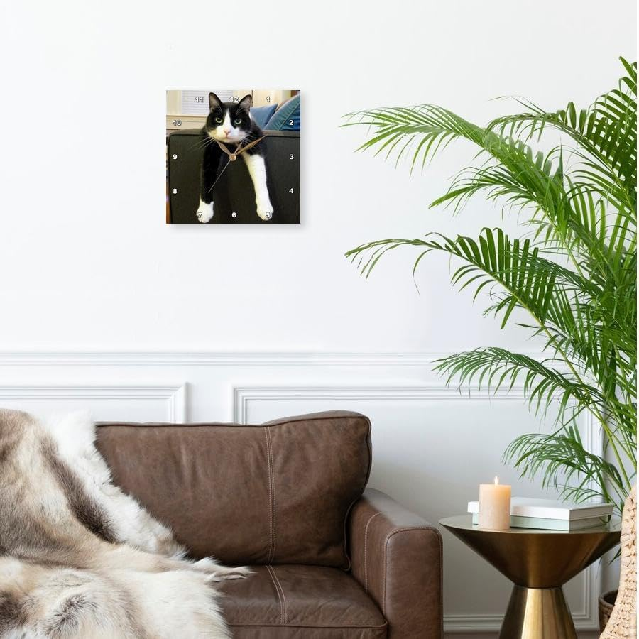Dpp_23450_2 Black and White Cat with Nothing ToDo Wall Clock, 13 by 13