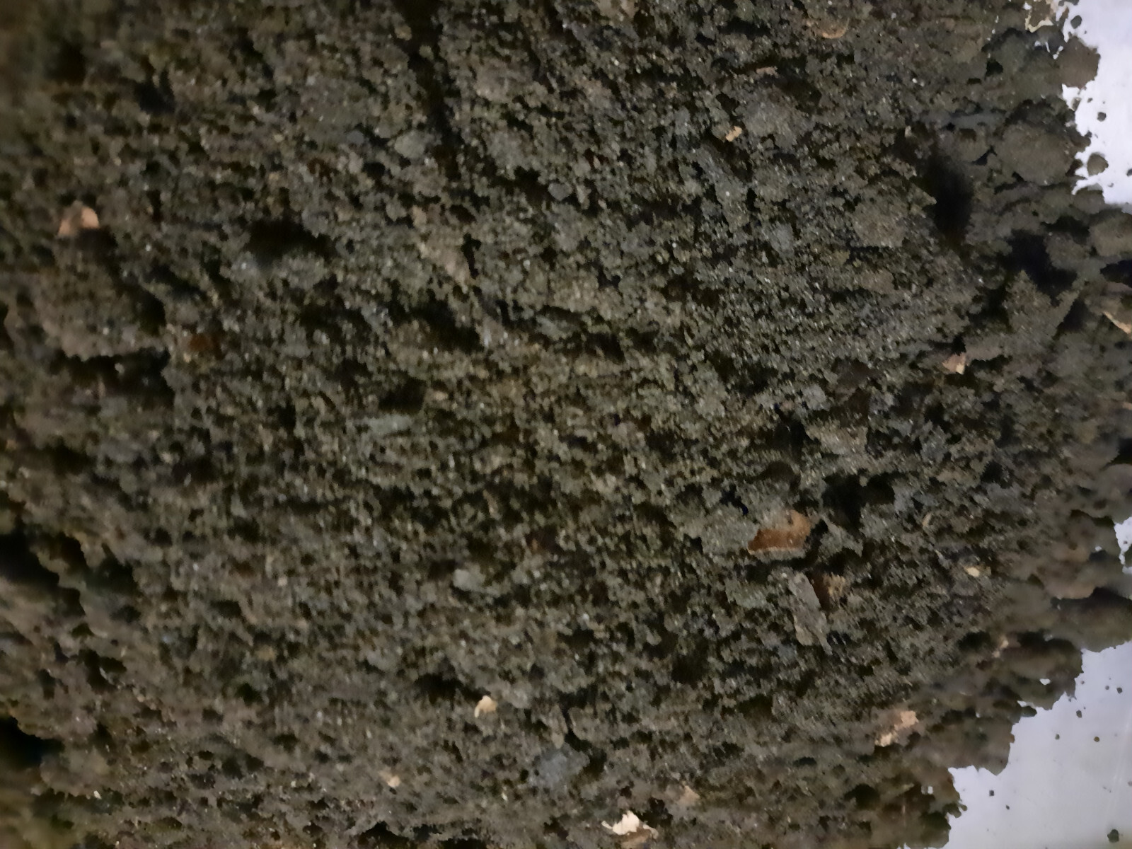 Bild 1 von 1