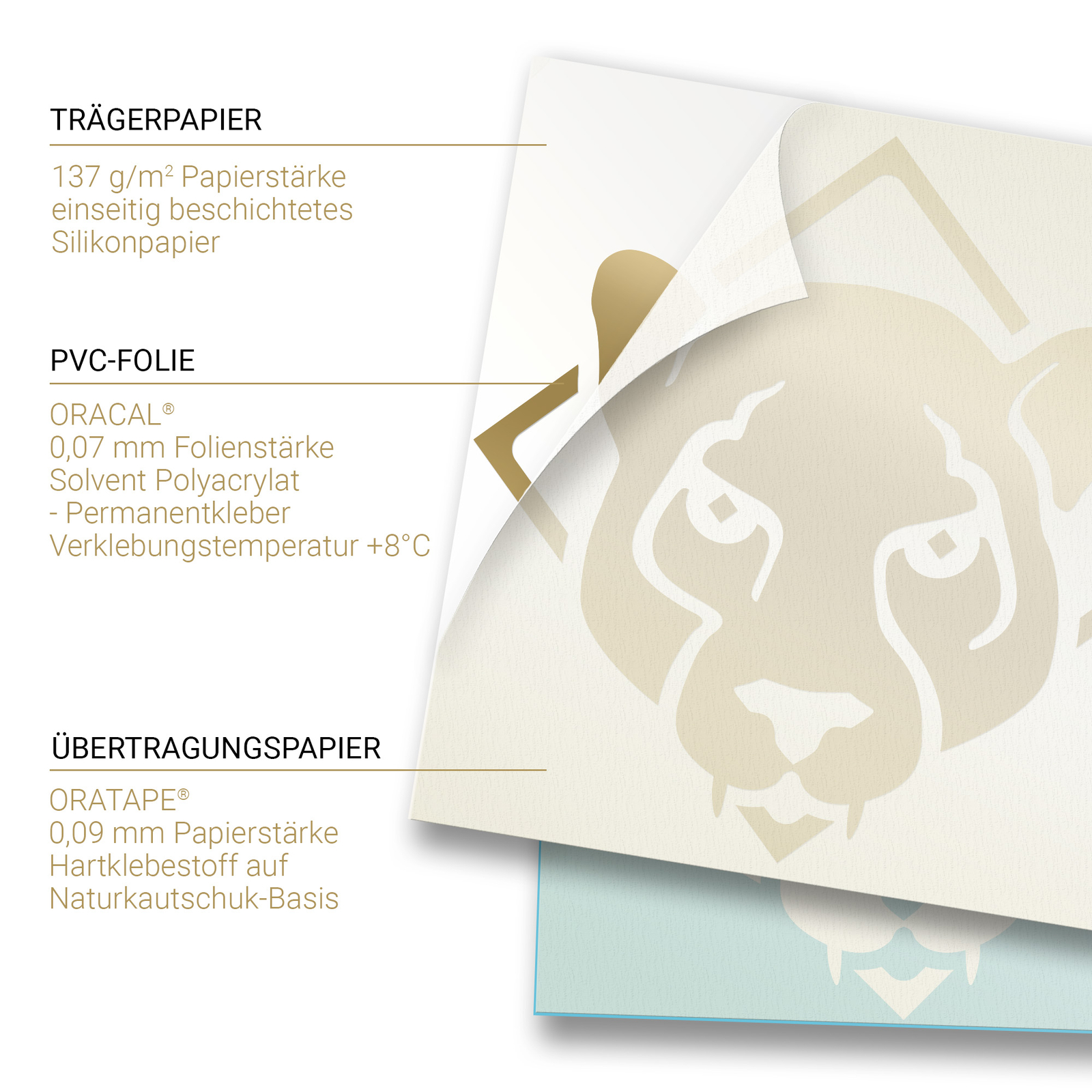 Bild 4 von 6