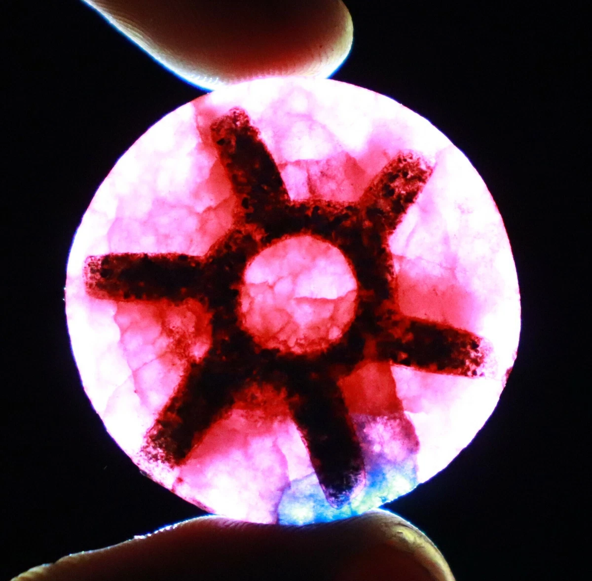 80 90 Carat Trapiche Red Ruby Burma Round Shape EGL Certified Loose Gemstone LVR