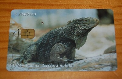 Used Phone Card Caribbean Rock Iguana (Cyclura nubila)
