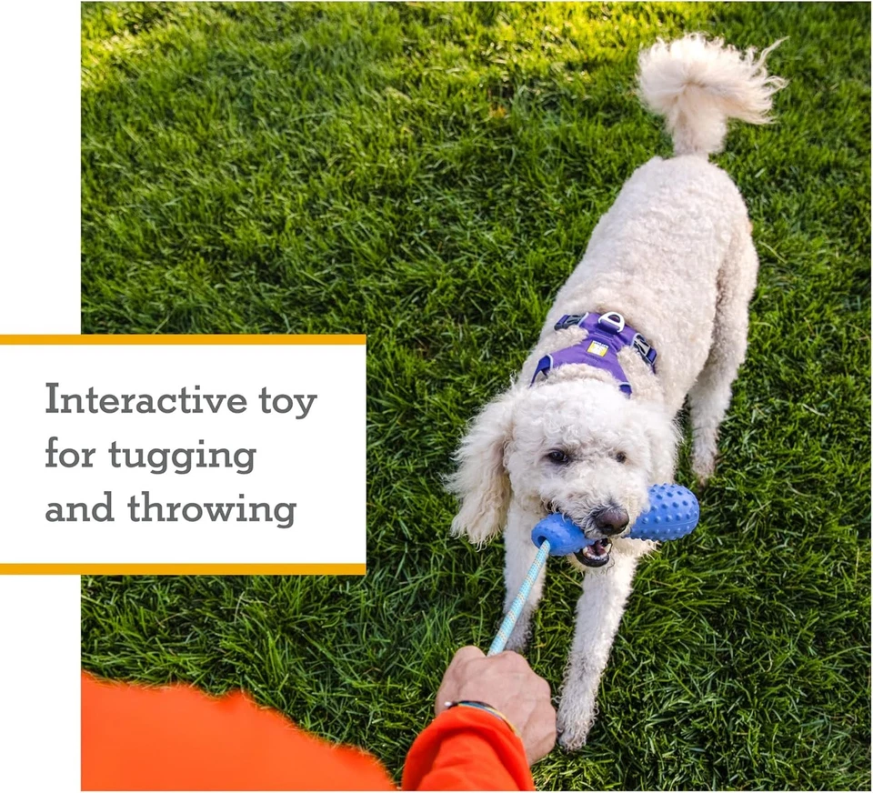 Ruffwear, Gourdo Natural Rubber Throw Toy for Dogs Large, Campfire Orange - Image 2 of 4