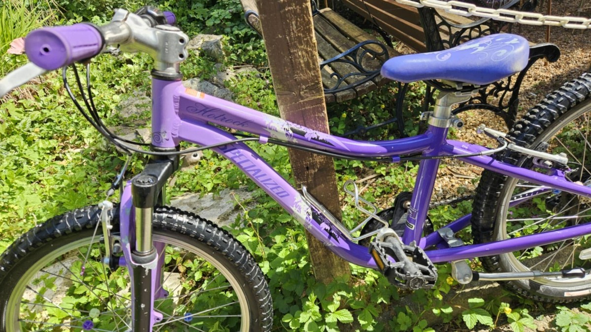 Purple Specialized Hotrock 20 Purple Specialized Hotrock 20 2017