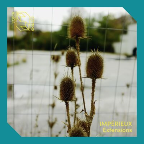 Impérieux Extensions EP (Vinyl LP) 12" EP
