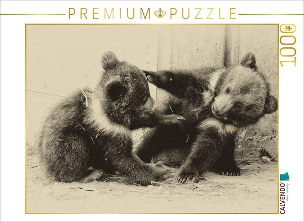 Calvendo Puzzle Gemeinsam Herumtoben | 1000 Teile Lege-GrößE 64 × 48 Cm Foto-Puz-image