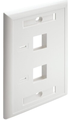 2-Port Dual Outlet RJ45 Universal Keystone Jack Face Plate TAA (2 Stück)