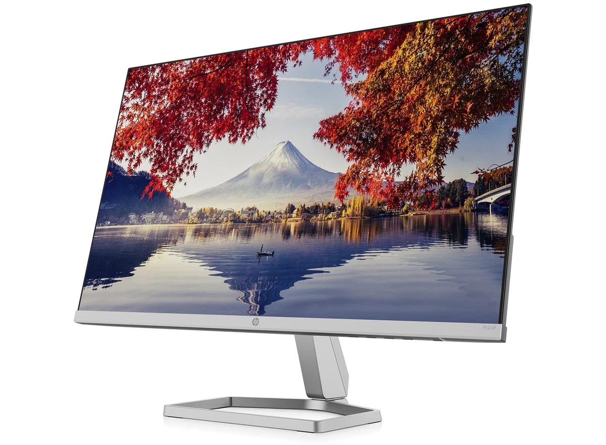 Hp 24 in sale monitor