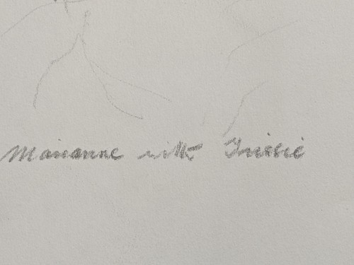 Original pencil & charcoal drawing by Thora Clyne SSWA 1937– 2020 woman portrait - Picture 5 of 16