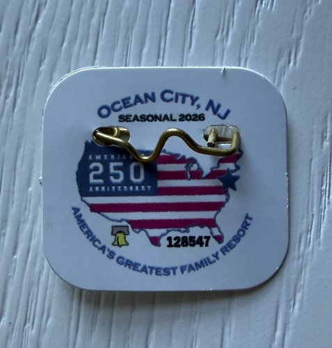 2026 Ocean City New Jersey OCNJ  SEASONAL BEACH TAG America 250 Years