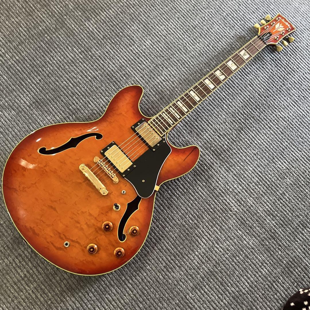 Semi-Acoustic Electric Guitar Vester MOD.800 Sunburst Made in