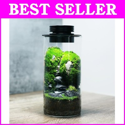 Rechargeable Desktop Terrarium with LED Lighting for Succulents & Mini Aquariums