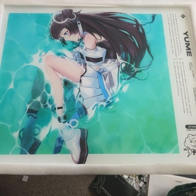 SkyPAD 3.0 XL Water Yume Gaming Glass Mouse Pad Limited Edition Used Japan