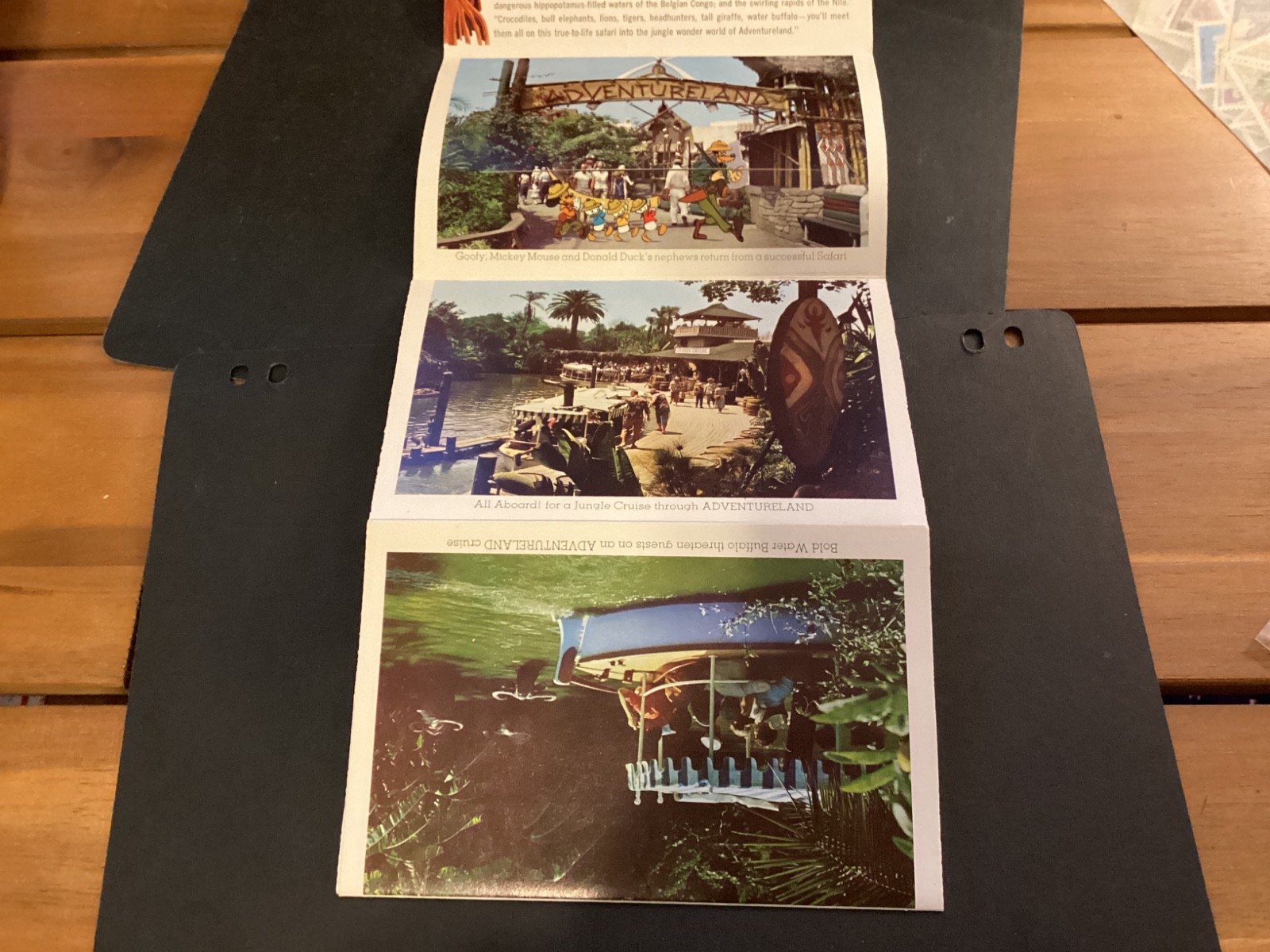 Picture 3