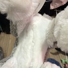 Kid Connection Gray & White Plush Stuffed Dog with Blue Leash Small 6-14 in — photo 7