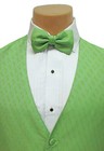 Gilet De Costume Et Nœud Papillon FULLBACK - Vert Forêt/Noir - Taille M Phillip Stuart