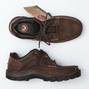 irish setter borderland