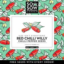 Penis Pepper - 20 Chilli Pepper Seeds - Organic Chili Seeds - Chilli Willy Red