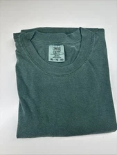 Comfort Colors Sage Green XL T-shirt