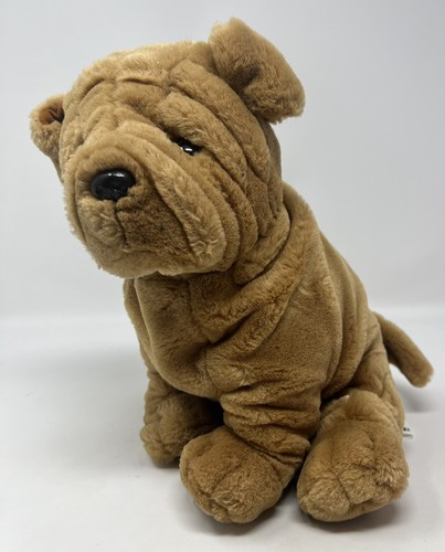 shar pei teddy