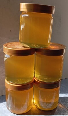 Lindenhonig 1-6 x500 Gr.  a 5,45 Echter Deutscher Honig, regional