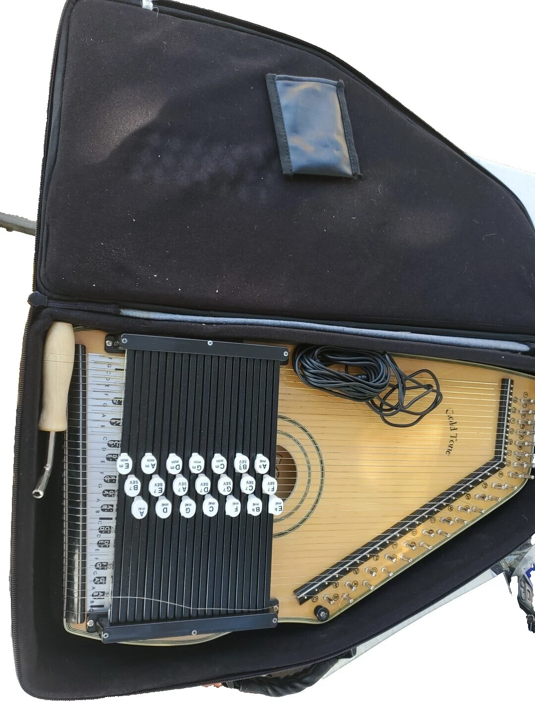 Cítaras Autoharp y cítaras Gold Tone