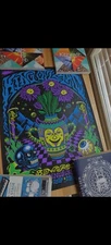 King Gizzard and the Lizard Wizard Bonnaroo 2025 Poster Amy Jean